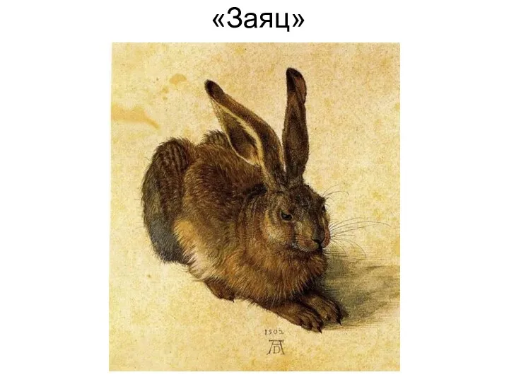 «Заяц»