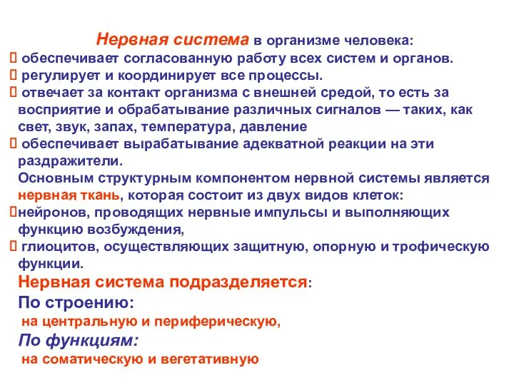 Нервная система в организме человека: обеспечивает согласованную работу всех систем