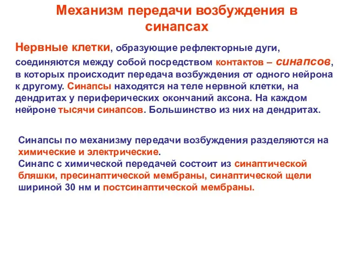 Механизм передачи возбуждения в синапсах Нервные клетки, образующие рефлекторные дуги,