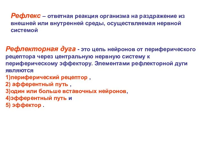 Рефлекторная дуга - это цепь нейронов от периферического рецептора через