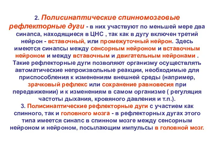 2. Полисинаптические спинномозговые рефлекторные дуги - в них участвуют по