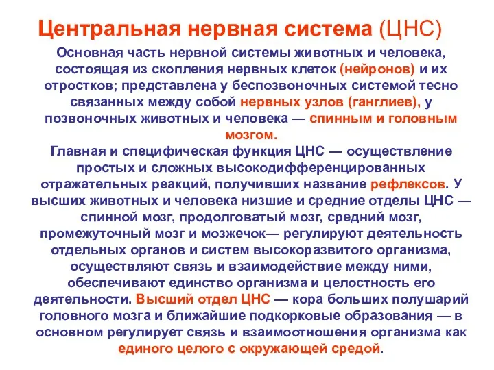 Основная часть нервной системы животных и человека, состоящая из скопления