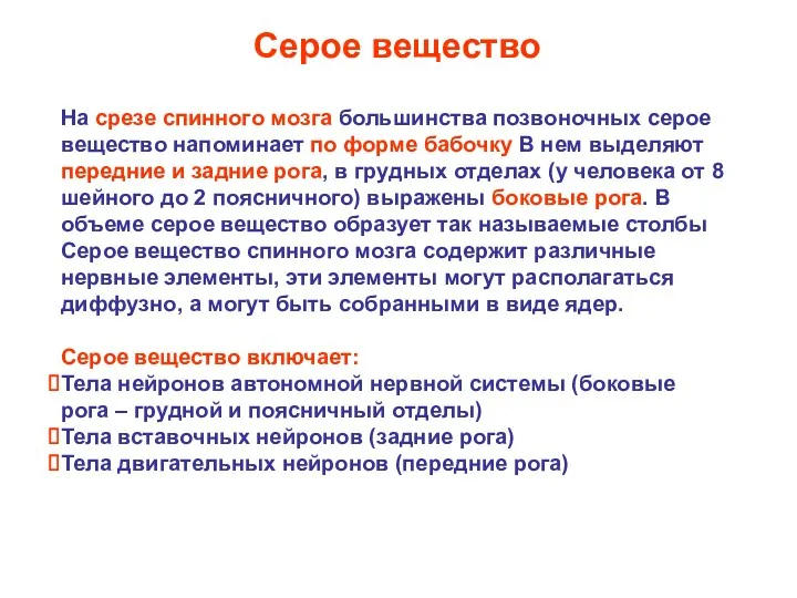 На срезе спинного мозга большинства позвоночных серое вещество напоминает по