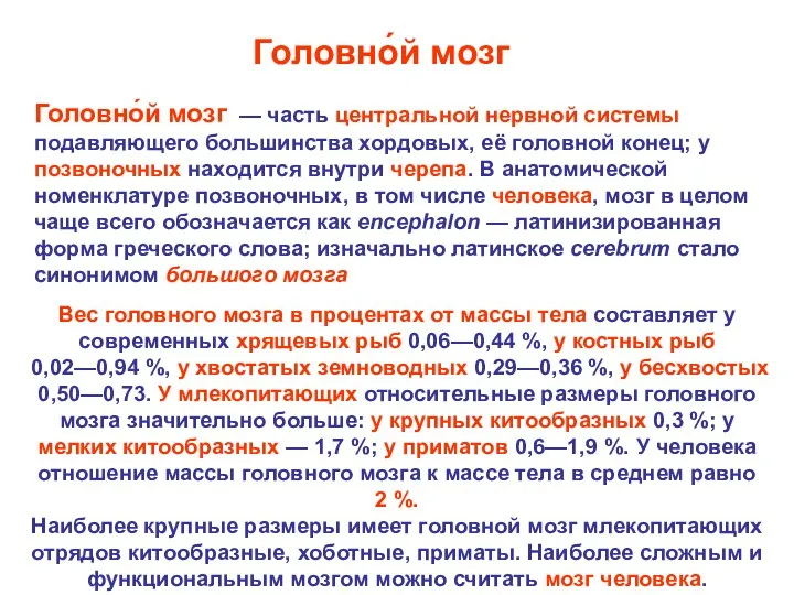 Головно́й мозг — часть центральной нервной системы подавляющего большинства хордовых,