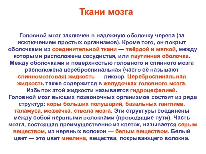 Головной мозг заключен в надежную оболочку черепа (за исключением простых