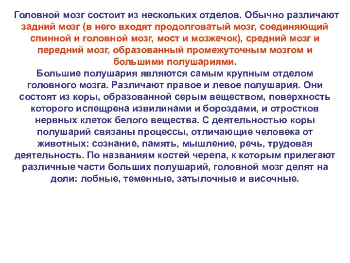 Головной мозг состоит из нескольких отделов. Обычно различают задний мозг