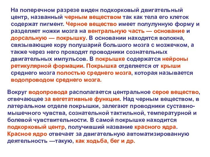 На поперечном разрезе виден подкорковый двигательный центр, названный черным веществом