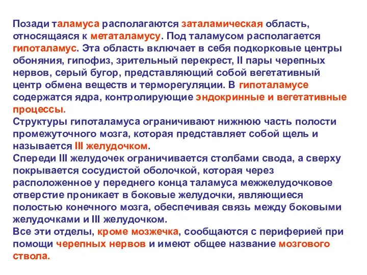 Позади таламуса располагаются заталамическая область, относящаяся к метаталамусу. Под таламусом