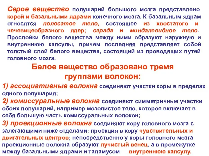 Серое вещество полушарий большого мозга представлено корой и базальными ядрами