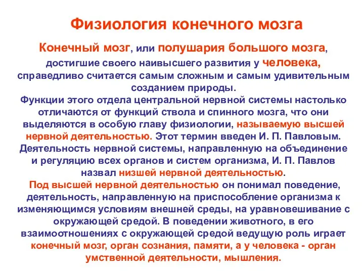 Конечный мозг, или полушария большого мозга, достигшие своего наивысшего развития