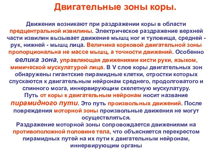 Движения возникают при раздражении коры в области предцентральной извилины. Электрическое