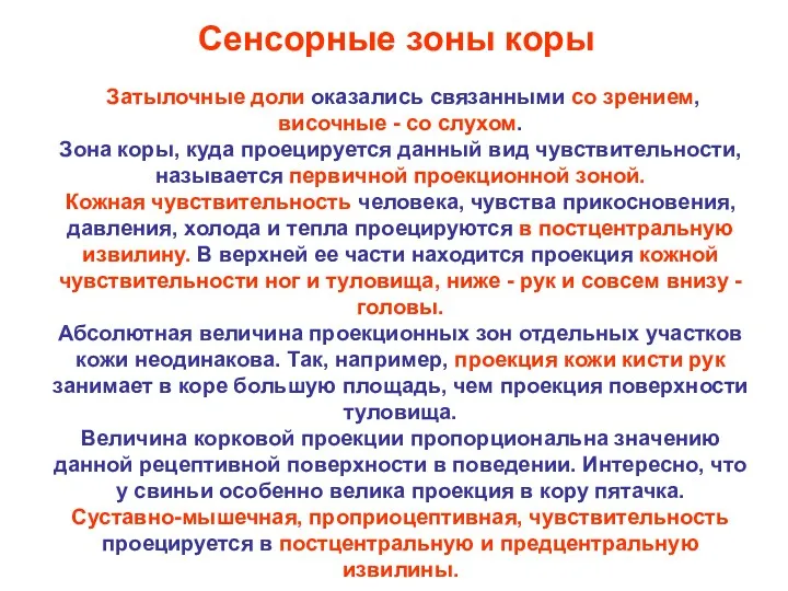 Затылочные доли оказались связанными со зрением, височные - со слухом.