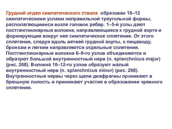 Грудной отдел симпатического ствола образован 10–12 симпатическими узлами неправильной треугольной