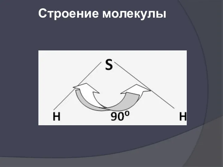 Строение молекулы