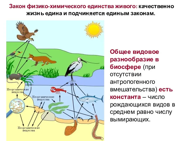 Закон физико-химического единства живого: качественно жизнь едина и подчиняется единым