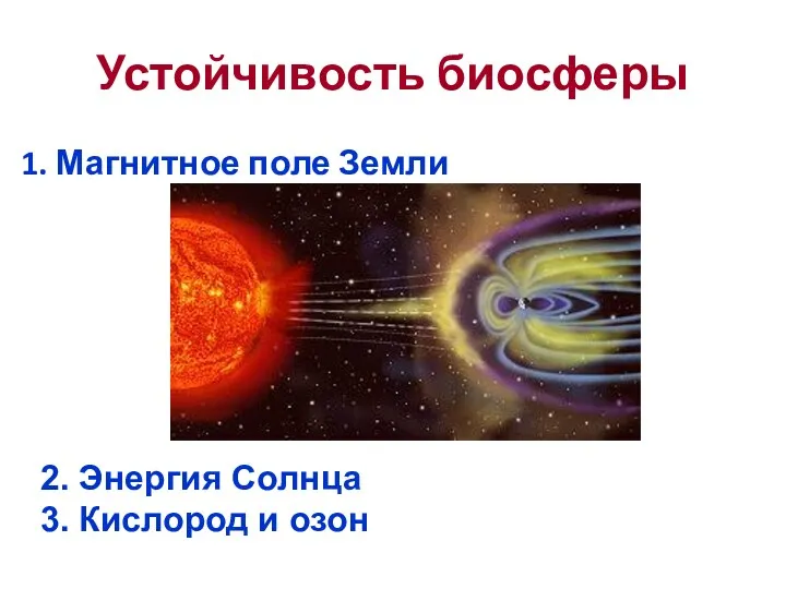 Устойчивость биосферы 1. Магнитное поле Земли 2. Энергия Cолнца 3. Кислород и озон