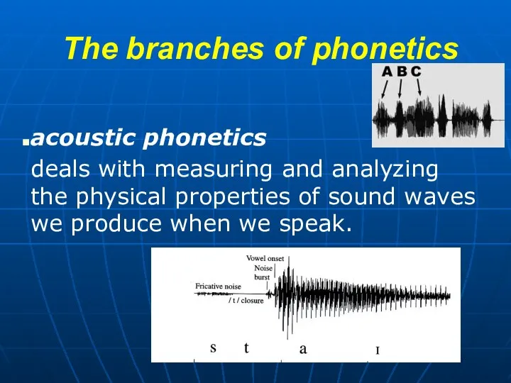 The branches of phonetics acoustic phonetics deals with measuring and