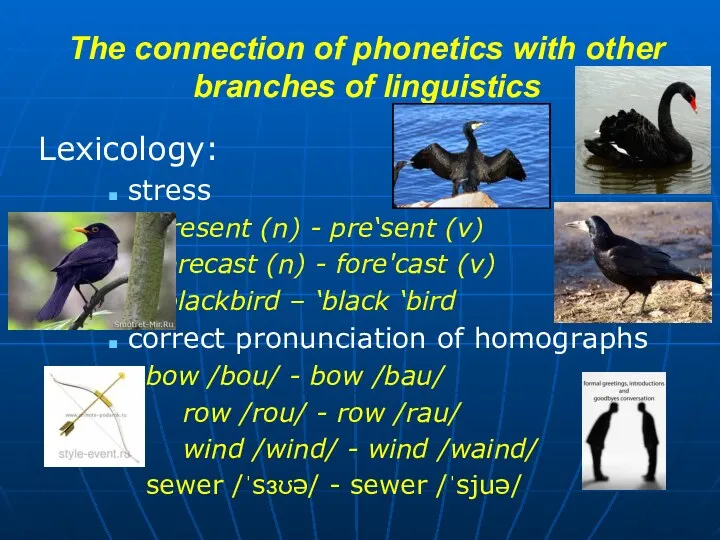 The connection of phonetics with other branches of linguistics Lexicology: