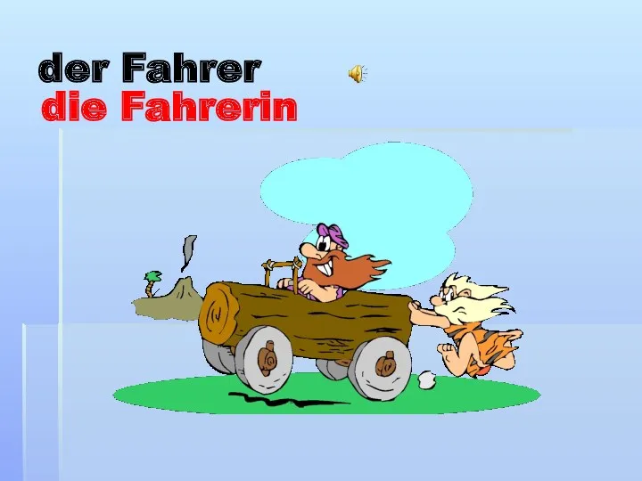 der Fahrer die Fahrerin