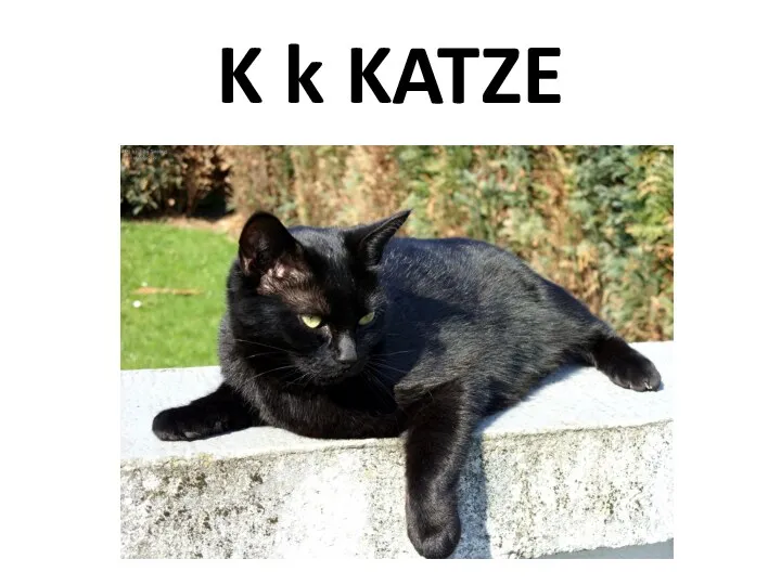 K k KATZE