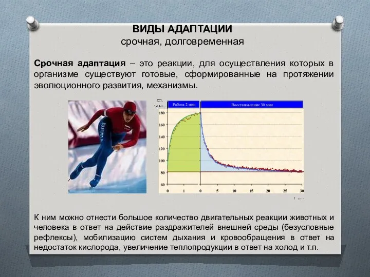 Срочная адаптация – это реакции, для осуществления которых в организме