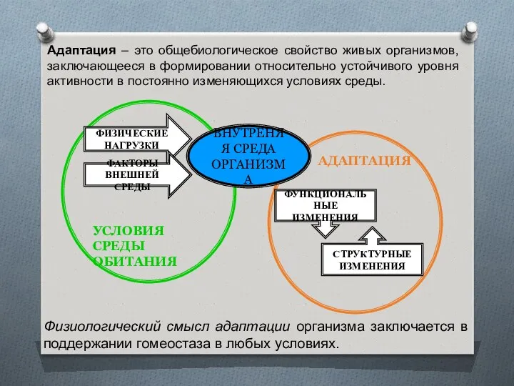 Адаптация – это общебиологическое свойство живых организмов, заключающееся в формировании