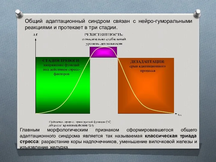 Общий адаптационный синдром связан с нейро-гуморальными реакциями и протекает в