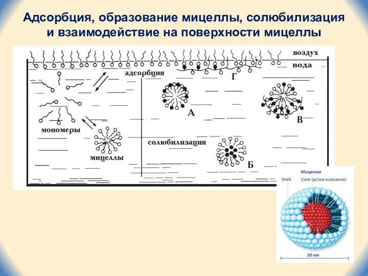 Адсорбция, образование мицеллы, солюбилизация и взаимодействие на поверхности мицеллы