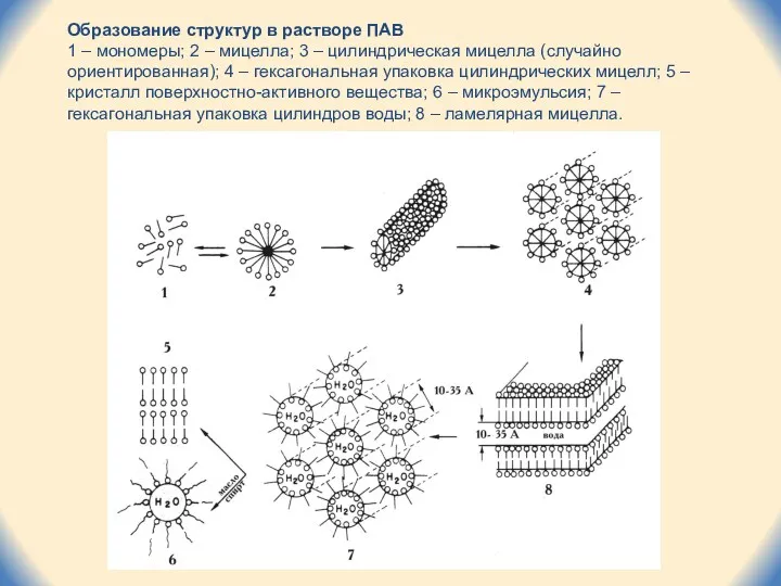 Образование структур в растворе ПАВ 1 – мономеры; 2 –