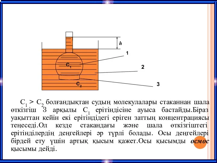 C1 > C2 болғандықтан судың молекулалары стаканнан шала өткізгіш 3