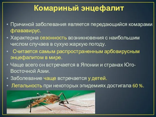 Комариный энцефалит Причиной заболевания является передающийся комарами флававирус. Характерна сезонность