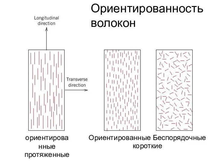 Ориентированность волокон ориентированные протяженные Ориентированные Беспорядочные короткие