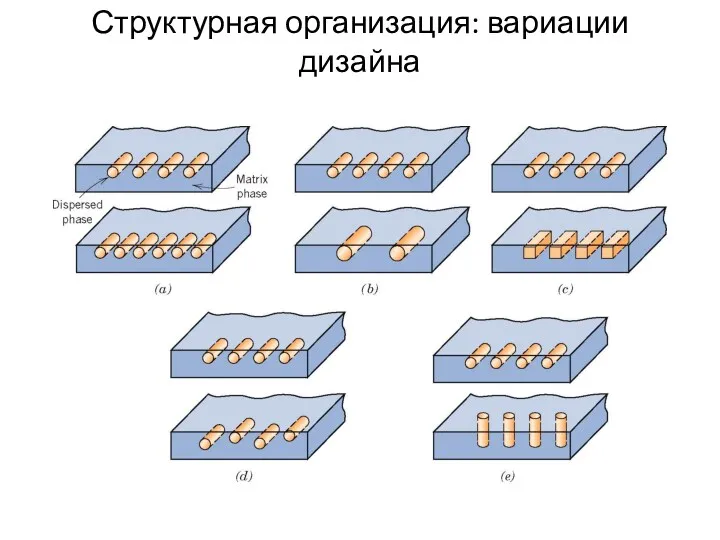 Структурная организация: вариации дизайна