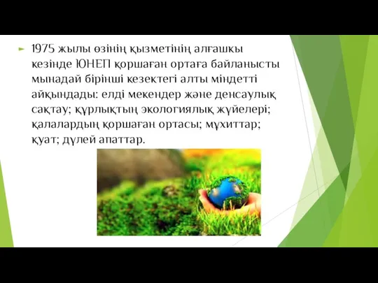 1975 жылы өзінің қызметінің алғашкы кезінде ЮНЕП қоршаған ортаға байланысты