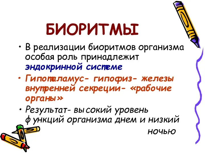 БИОРИТМЫ В реализации биоритмов организма особая роль принадлежит эндокринной системе