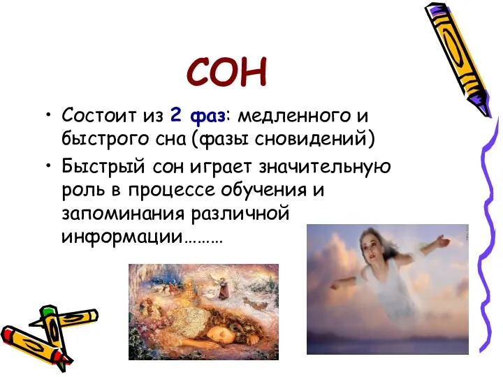 СОН Состоит из 2 фаз: медленного и быстрого сна (фазы