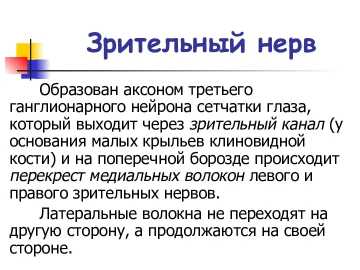 Зрительный нерв Образован аксоном третьего ганглионарного нейрона сетчатки глаза, который