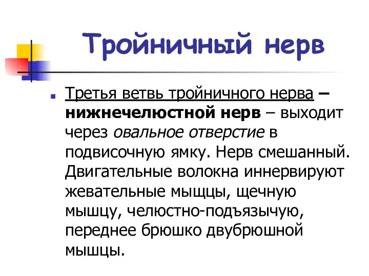 Тройничный нерв Третья ветвь тройничного нерва – нижнечелюстной нерв –