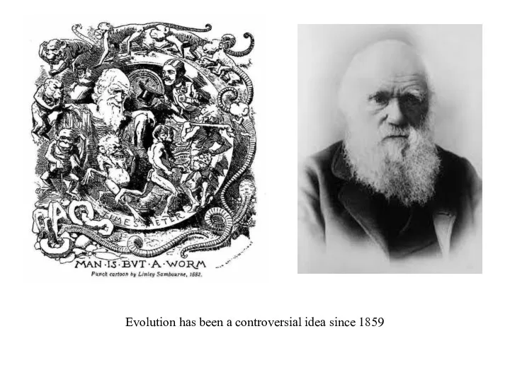 Evolution has been a controversial idea since 1859