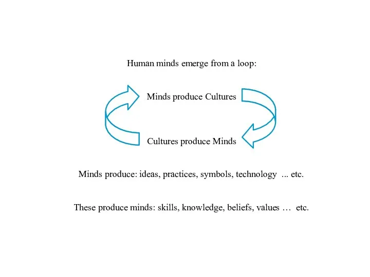 Human minds emerge from a loop: Minds produce Cultures Cultures produce Minds Minds