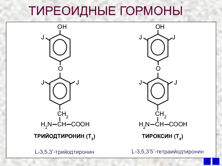 ТРИЙОДТИРОНИН (Т3) ТИРОКСИН (Т4) ТИРЕОИДНЫЕ ГОРМОНЫ L-3,5,3’-трийодтиронин L-3,5,3’5’-тетраийодтиронин