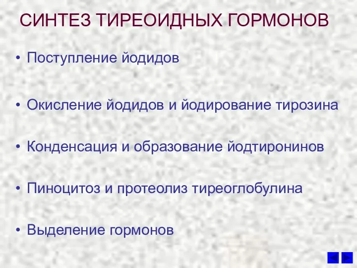 СИНТЕЗ ТИРЕОИДНЫХ ГОРМОНОВ Поступление йодидов Окисление йодидов и йодирование тирозина Конденсация и образование