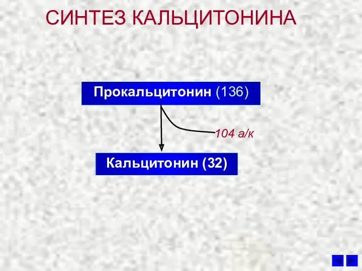 СИНТЕЗ КАЛЬЦИТОНИНА Прокальцитонин (136) Кальцитонин (32) 104 а/к