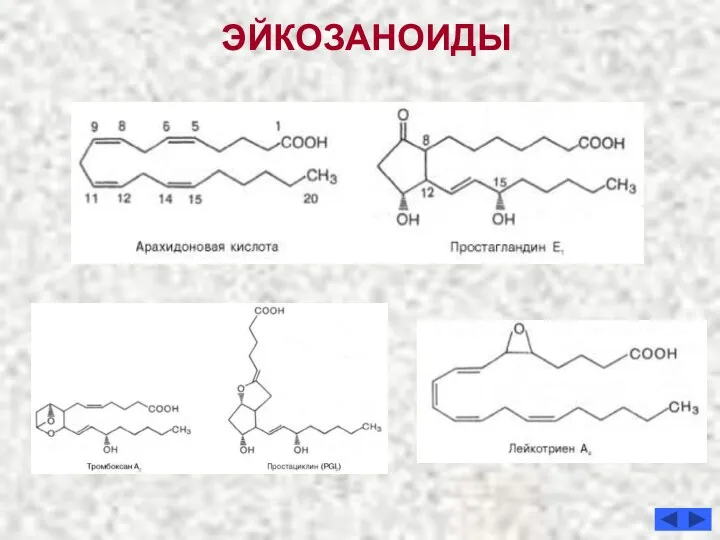 ЭЙКОЗАНОИДЫ