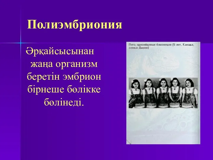 Полиэмбриония Әрқайсысынан жаңа организм беретін эмбрион бірнеше бөлікке бөлінеді.