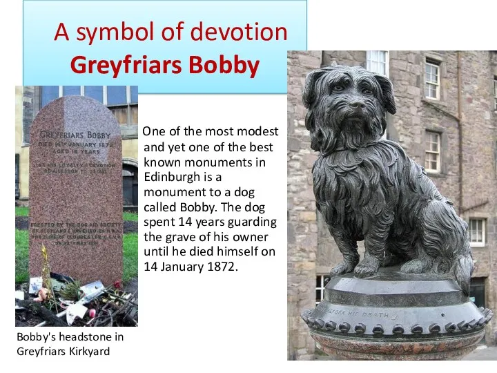 A symbol of devotion Greyfriars Bobby One of the most