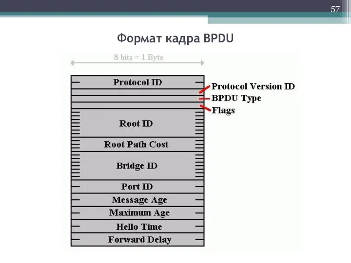 Формат кадра BPDU