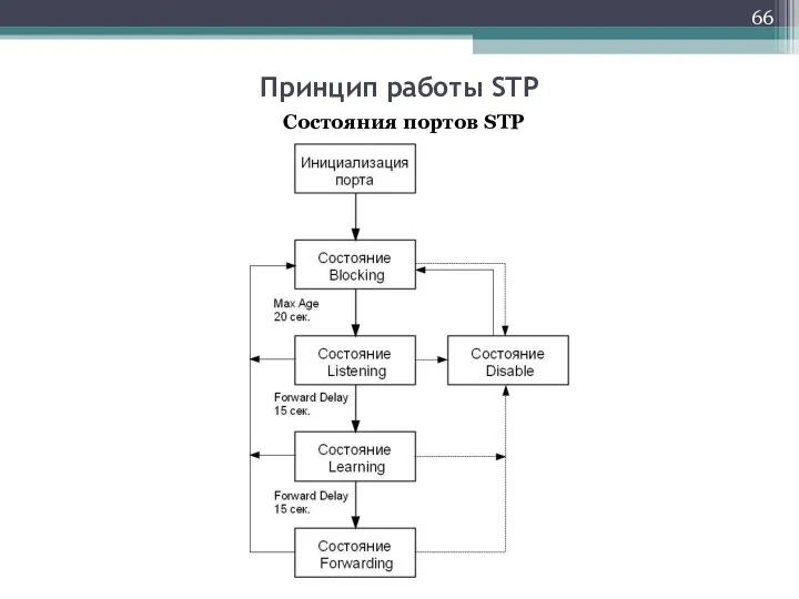 Принцип работы STP Состояния портов STP