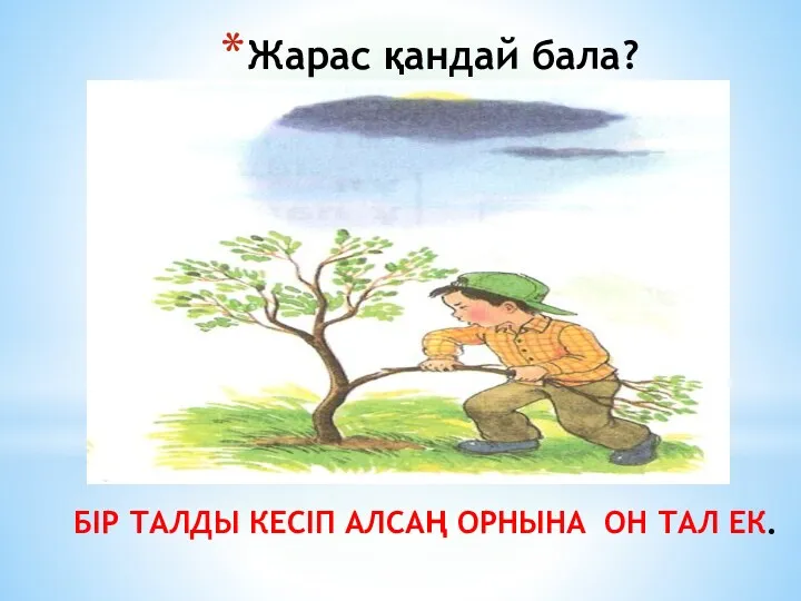 Жарас қандай бала? БІР ТАЛДЫ КЕСІП АЛСАҢ ОРНЫНА ОН ТАЛ ЕК.