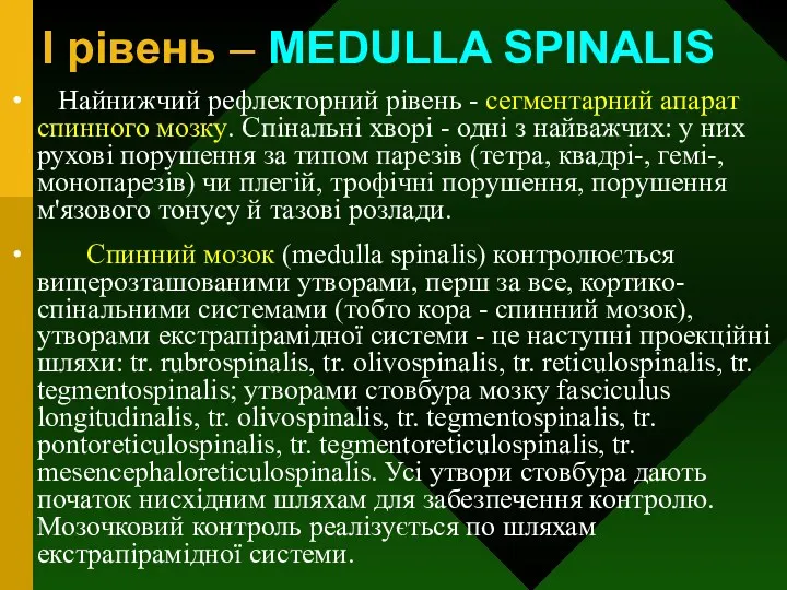 I рівень – MEDULLA SPINALIS Найнижчий рефлекторний рівень - сегментарний